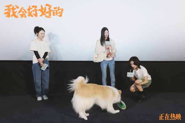 4.贝拉互动.jpg