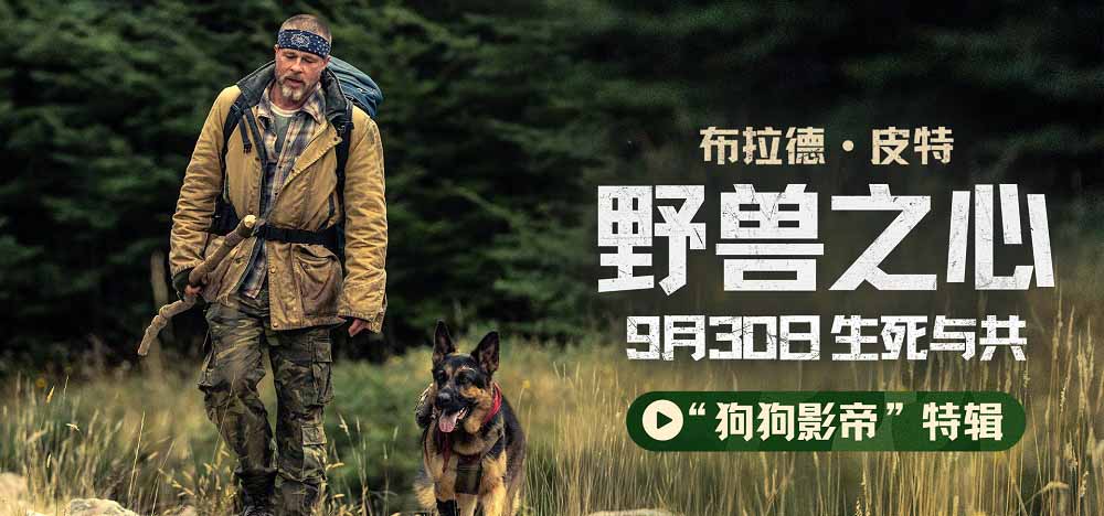 布拉德·皮特新片《野兽之心》发布“狗