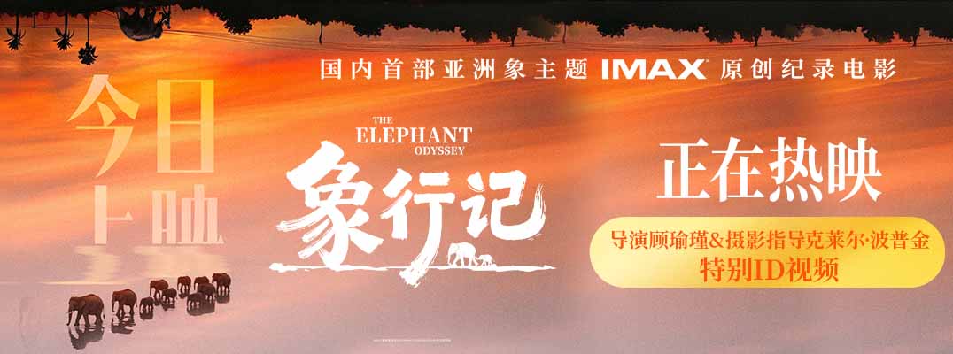 纪录电影《象行记》今日上映，奔赴雨林